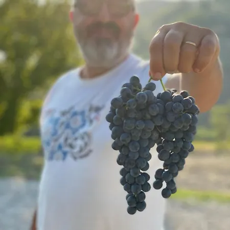 Venti - Craft Wine & Hospitality