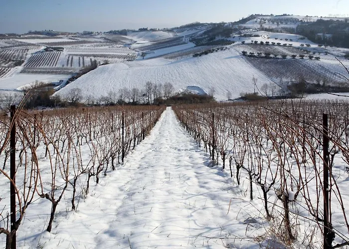 Farmház Venti - Craft Wine & Hospitality