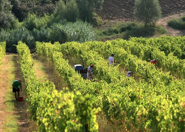 Venti - Craft Wine & Hospitality *