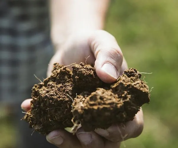 Venti - Craft Wine & Hospitality Farmház Roncofreddo