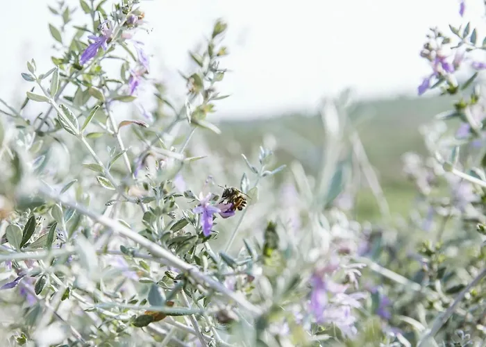 Farmház Venti - Craft Wine & Hospitality *