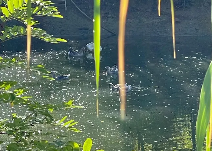 Venti - Craft Wine & Hospitality