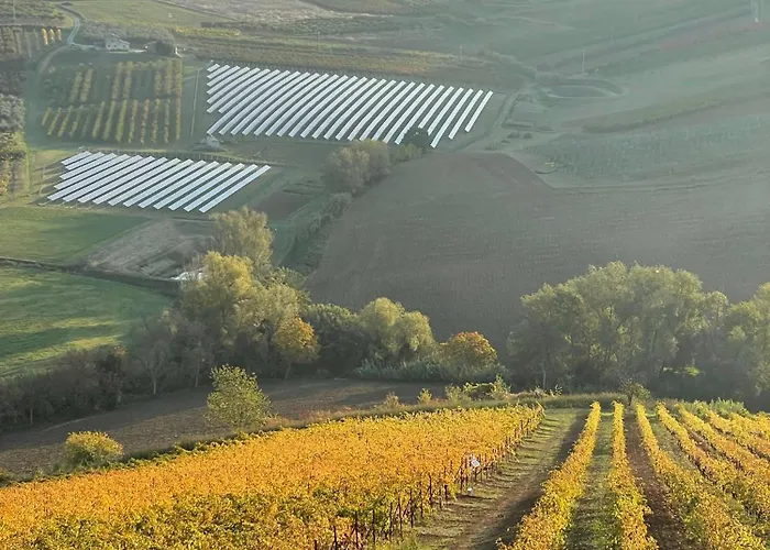 Venti - Craft Wine & Hospitality Farmház *