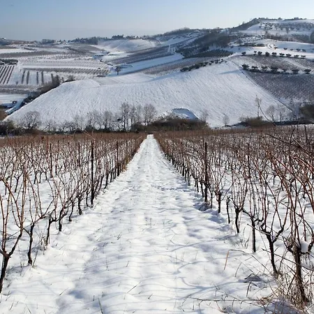 Alloggio per agriturismo Venti