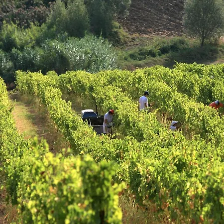 Venti - Craft Wine & Hospitality *