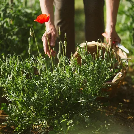 Venti - Craft Wine & Hospitality * 론코프레도