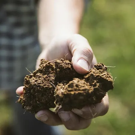 Venti - Craft Wine & Hospitality Farma Roncofreddo