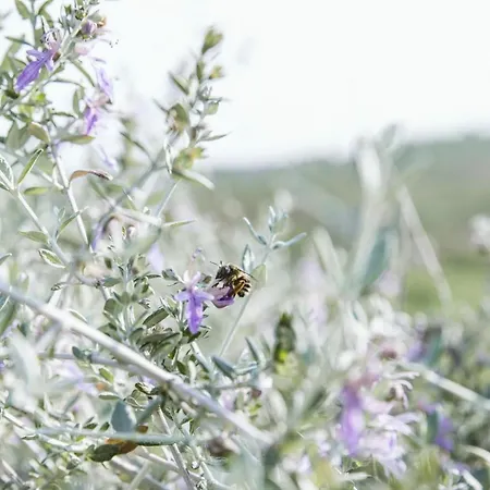 팜스테이 Venti - Craft Wine & Hospitality *