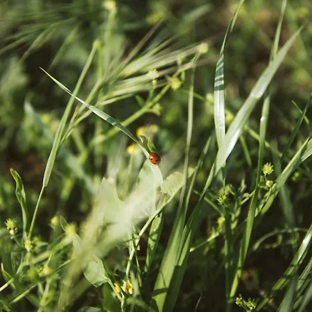 Venti - Craft Wine & Hospitality * Roncofreddo