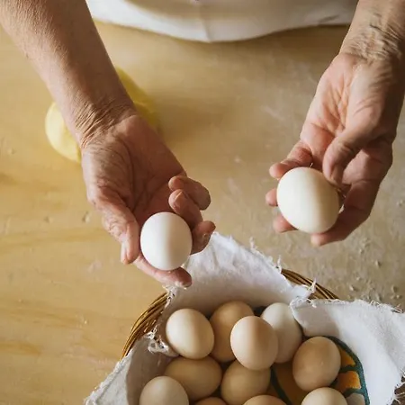 Farma Venti - Craft Wine & Hospitality *