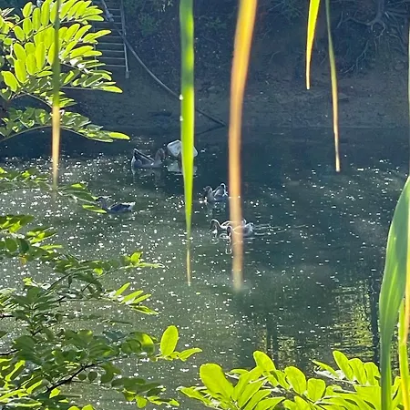 Venti - Craft Wine & Hospitality