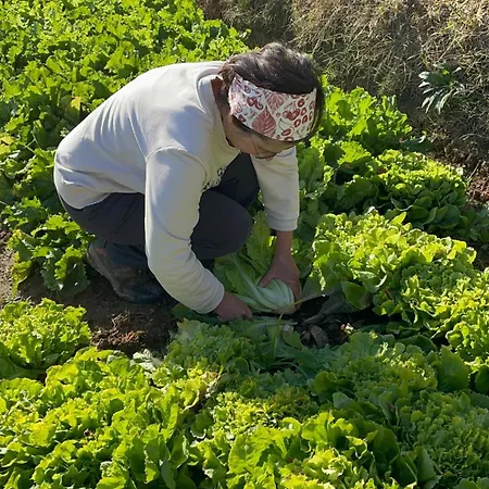 Venti - Craft Wine & Hospitality * 론코프레도