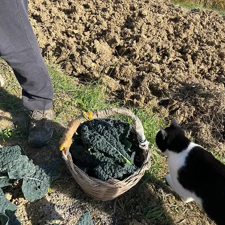 Alloggio per agriturismo Venti