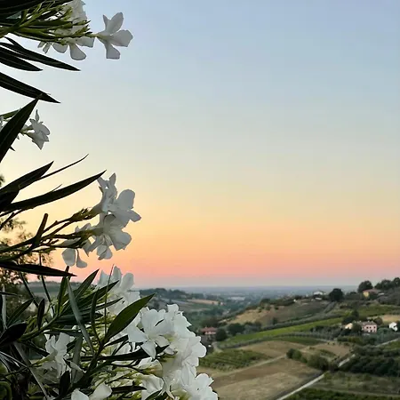 Farma Venti - Craft Wine & Hospitality Roncofreddo