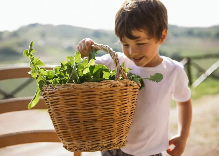 农家乐 Venti - Craft Wine & Hospitality Roncofreddo