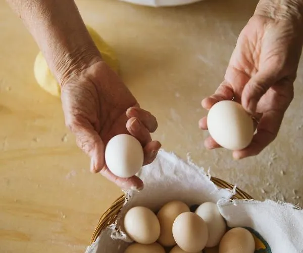 农家乐 Venti - Craft Wine & Hospitality *