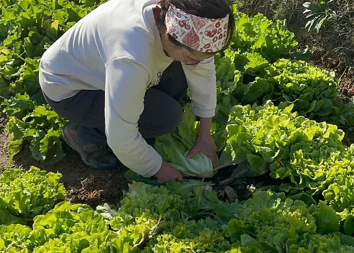 Venti - Craft Wine & Hospitality * Roncofreddo