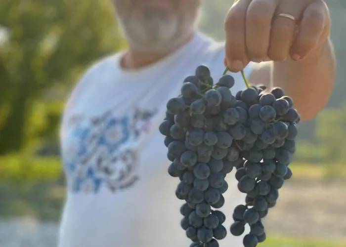 Venti - Craft Wine & Hospitality