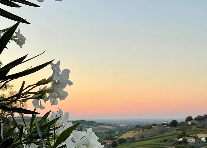 Çiftlik konaklama Venti - Craft Wine & Hospitality Roncofreddo